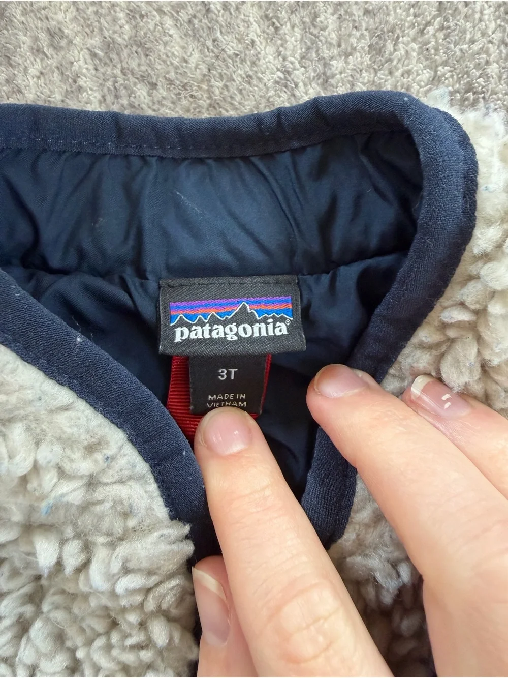 Patagonia Baby Retro-X Fleece Jacket in 3T - Picture 3 of 8